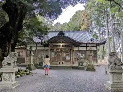 阿自賀神社の本殿・本堂