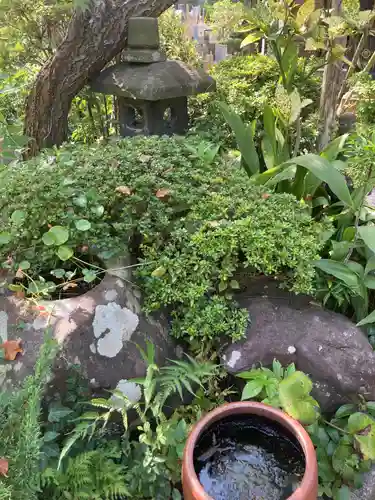 光照寺(神奈川県)