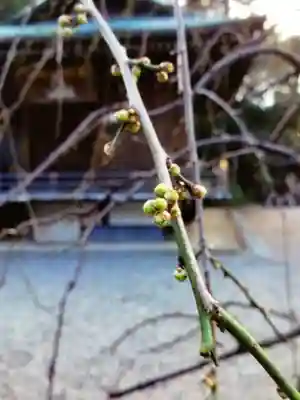 布多天神社(東京都)