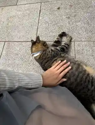 中尊寺(岩手県)