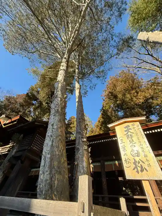 諏訪大社下社秋宮(長野県)