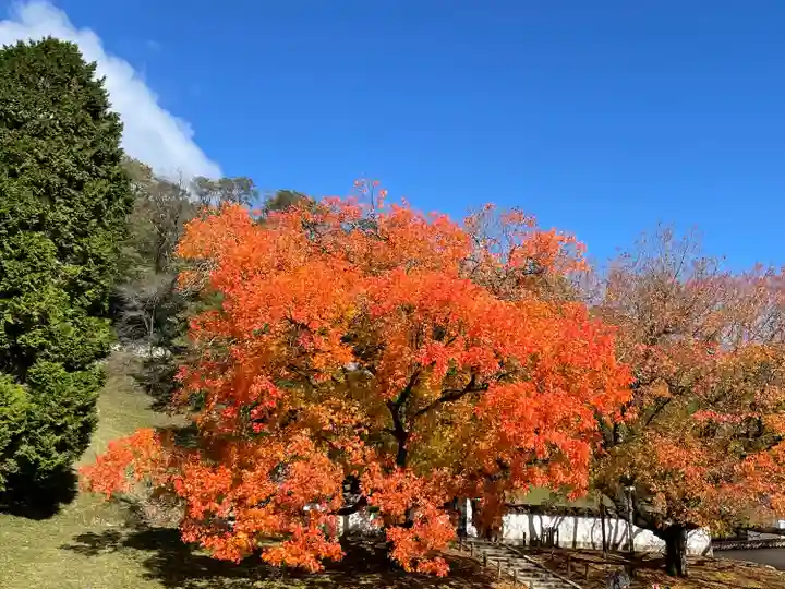 閑谷神社(岡山県)