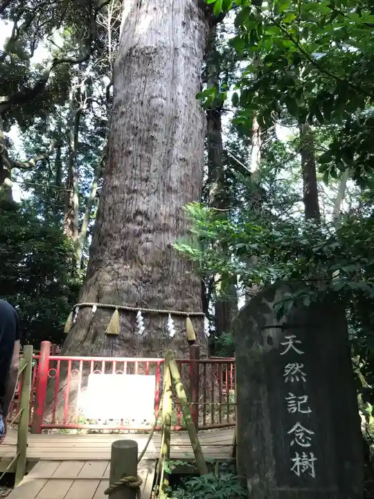 麻賀多神社の自然