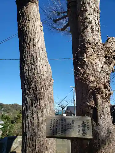 御霊神社の自然