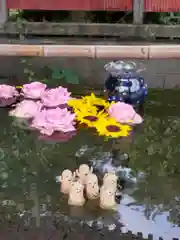 前玉神社(埼玉県)