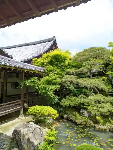 禅林寺（永観堂）(京都府)