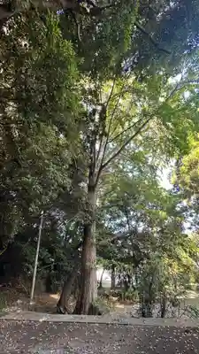 伊奈頭美神社(島根県)