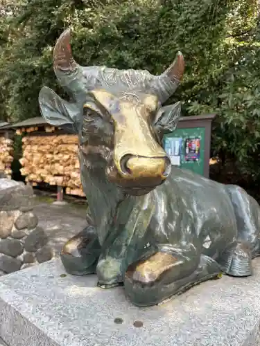 谷保天満宮の{uncategorized: "未分類", other: "その他", undefined: "問題あり", building: "その他建物", grave: "お墓", sacred_gate: "鳥居", guardian: "狛犬", statue: "像", buddha: "仏像", history: "歴史", nature: "自然", garden: "庭園", animal: "動物", pagoda: "塔", temizu: "手水舎", mountain_gate: "山門・神門", sanctuary: "本殿・本堂", subordinate: "末社・摂社", art: "芸術", scenery: "景色", jizo: "地蔵", ema: "絵馬", goshuin: "御朱印", omikuji: "おみくじ", items: "授与品その他", amulet: "お守り", goshuincho: "御朱印帳", eats: "食事", festival: "お祭り", votive_dance: "神楽", shichigosan: "七五三参", wedding: "結婚式", experience: "体験その他", initially: "初詣", around: "周辺", anti_infection: "感染症対策"}