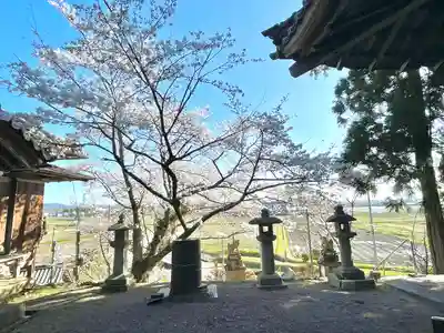 井林神社(滋賀県)