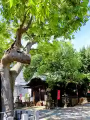 阿邪訶根神社(福島県)