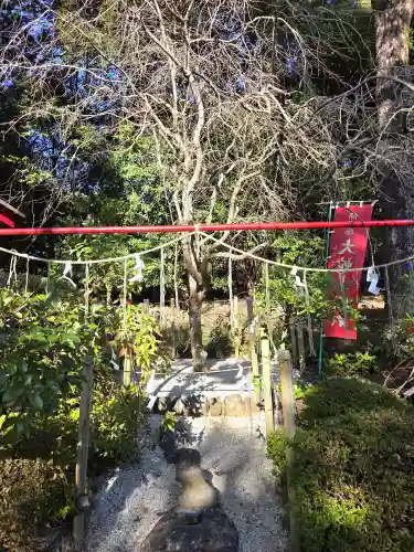 加紫久利神社(鹿児島県)