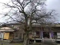 妙経寺(福井県)