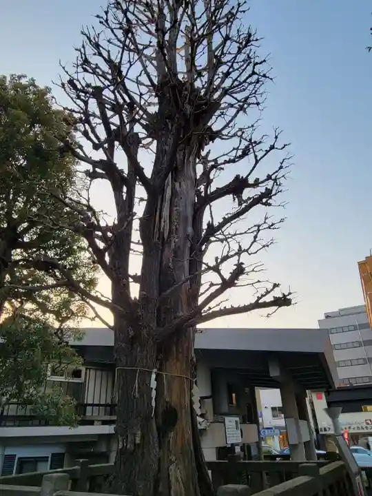 大鳥神社の自然