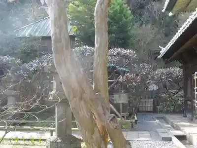 英勝寺のその他建物