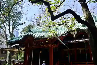 赤坂氷川神社の本殿・本堂