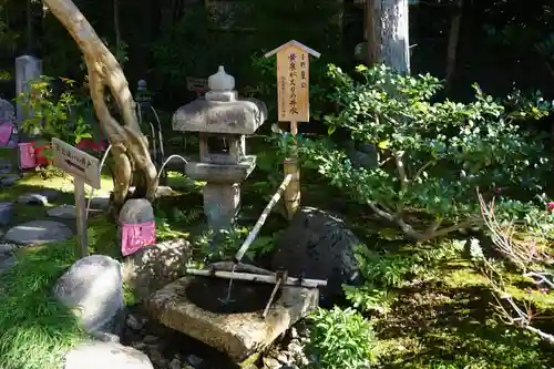 六道珍皇寺の庭園