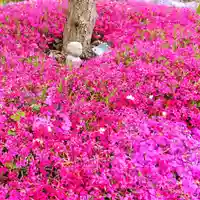寿量山 速成寺の庭園