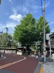 湯島天満宮の建物その他