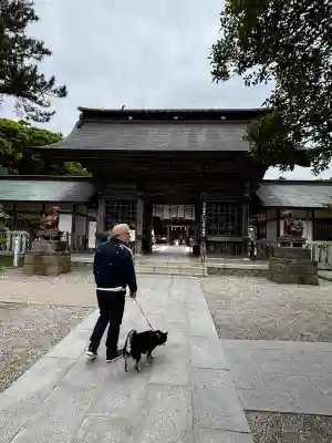大洗磯前神社の{uncategorized: "未分類", other: "その他", undefined: "問題あり", building: "その他建物", grave: "お墓", sacred_gate: "鳥居", guardian: "狛犬", statue: "像", buddha: "仏像", history: "歴史", nature: "自然", garden: "庭園", animal: "動物", pagoda: "塔", temizu: "手水舎", mountain_gate: "山門・神門", sanctuary: "本殿・本堂", subordinate: "末社・摂社", art: "芸術", scenery: "景色", jizo: "地蔵", ema: "絵馬", goshuin: "御朱印", omikuji: "おみくじ", items: "授与品その他", amulet: "お守り", goshuincho: "御朱印帳", eats: "食事", festival: "お祭り", votive_dance: "神楽", shichigosan: "七五三参", wedding: "結婚式", experience: "体験その他", initially: "初詣", around: "周辺", anti_infection: "感染症対策"}