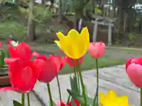 大宮温泉神社(栃木県)