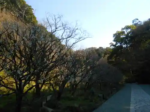瑞泉寺(神奈川県)