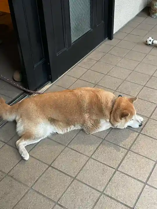 笠䅣稲荷神社(神奈川県)