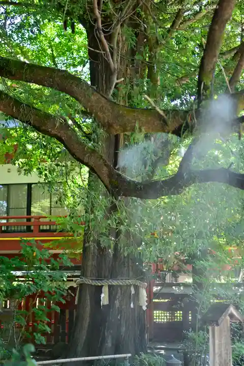秩父神社の自然