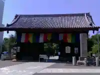 護国寺の{uncategorized: "未分類", other: "その他", undefined: "問題あり", building: "その他建物", grave: "お墓", sacred_gate: "鳥居", guardian: "狛犬", statue: "像", buddha: "仏像", history: "歴史", nature: "自然", garden: "庭園", animal: "動物", pagoda: "塔", temizu: "手水舎", mountain_gate: "山門・神門", sanctuary: "本殿・本堂", subordinate: "末社・摂社", art: "芸術", scenery: "景色", jizo: "地蔵", ema: "絵馬", goshuin: "御朱印", omikuji: "おみくじ", items: "授与品その他", amulet: "お守り", goshuincho: "御朱印帳", eats: "食事", festival: "お祭り", votive_dance: "神楽", shichigosan: "七五三参", wedding: "結婚式", experience: "体験その他", initially: "初詣", around: "周辺", anti_infection: "感染症対策"}