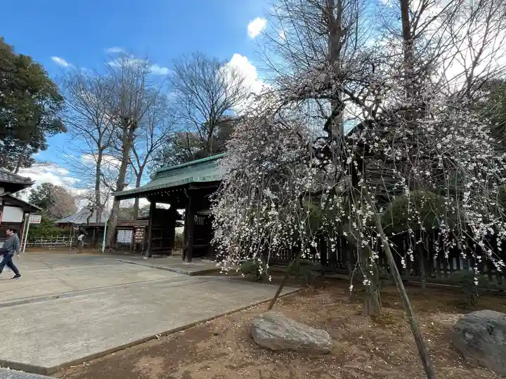 峯ヶ岡八幡神社(埼玉県)