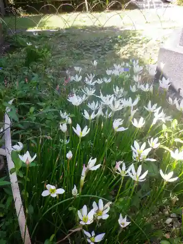 常栄寺の庭園