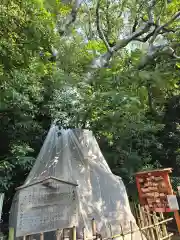 城山八幡宮(愛知県)