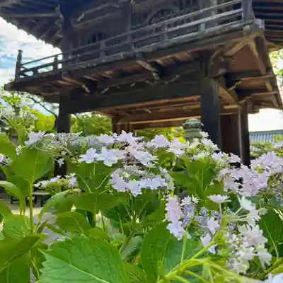 伊勢の国 四天王寺(三重県)