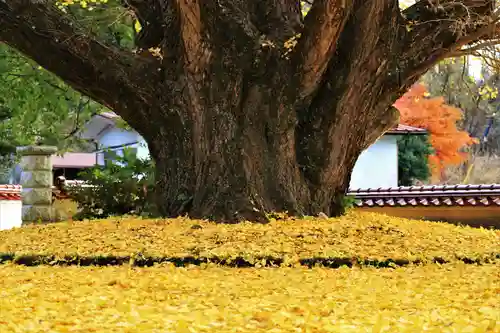 浄善寺のその他建物