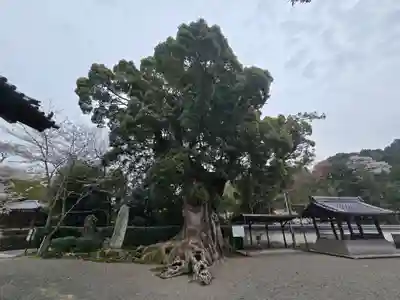 粉河寺(和歌山県)