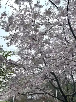 糀谷八幡宮(埼玉県)