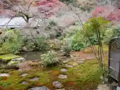 実相院門跡の庭園