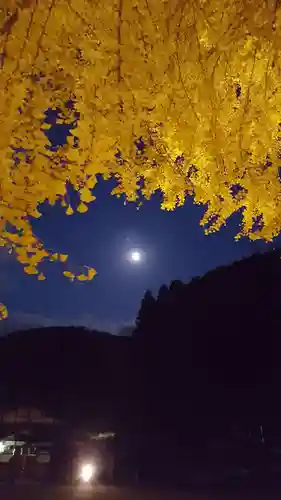 丹生酒殿神社の自然