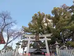 百舌鳥八幡宮(大阪府)