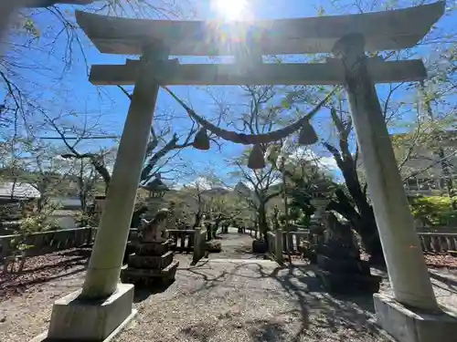天鷹神社(岐阜県)