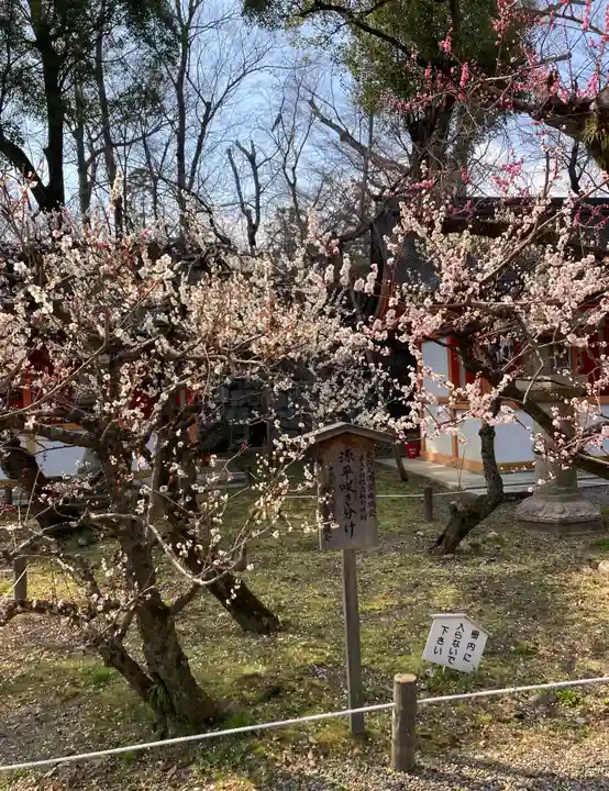 北野天満宮(京都府)
