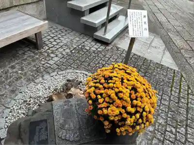 上徳寺(京都府)