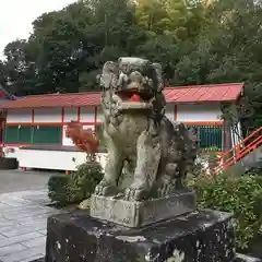 扇森稲荷神社の狛犬