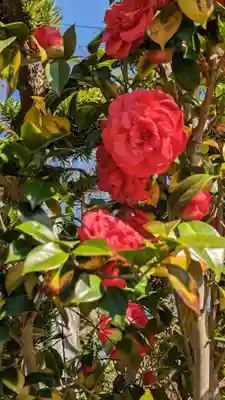 浄安寺(京都府)