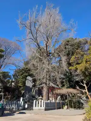 瀧泉寺（目黒不動尊）(東京都)