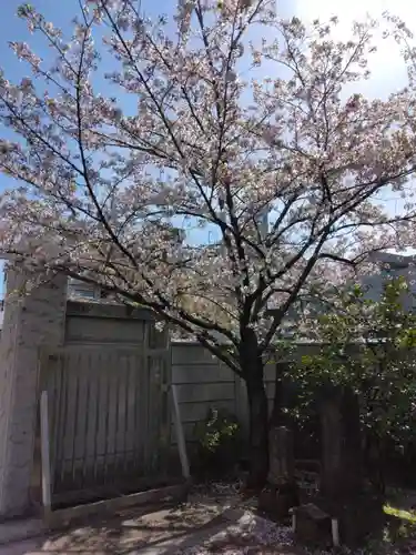 円光院(東京都)