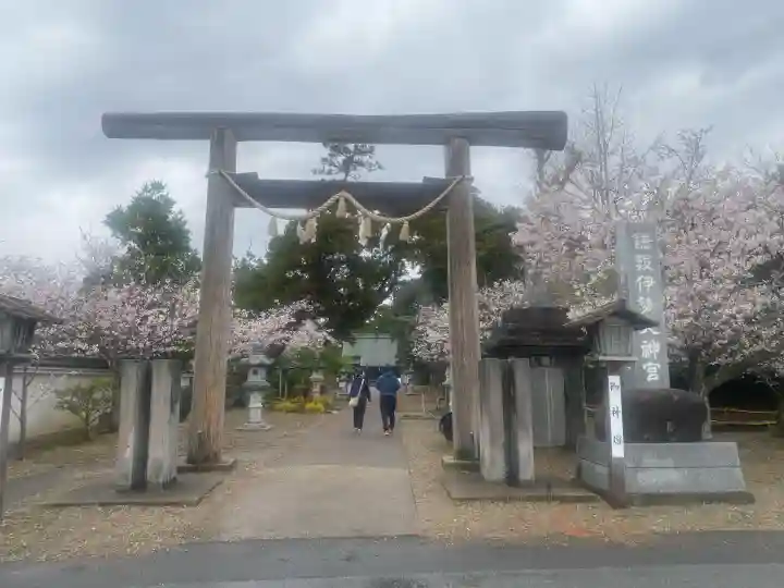 鎌数伊勢大神宮の{uncategorized: "未分類", other: "その他", undefined: "問題あり", building: "その他建物", grave: "お墓", sacred_gate: "鳥居", guardian: "狛犬", statue: "像", buddha: "仏像", history: "歴史", nature: "自然", garden: "庭園", animal: "動物", pagoda: "塔", temizu: "手水舎", mountain_gate: "山門・神門", sanctuary: "本殿・本堂", subordinate: "末社・摂社", art: "芸術", scenery: "景色", jizo: "地蔵", ema: "絵馬", goshuin: "御朱印", omikuji: "おみくじ", items: "授与品その他", amulet: "お守り", goshuincho: "御朱印帳", eats: "食事", festival: "お祭り", votive_dance: "神楽", shichigosan: "七五三参", wedding: "結婚式", experience: "体験その他", initially: "初詣", around: "周辺", anti_infection: "感染症対策"}