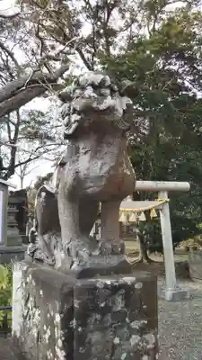 大宮神社の狛犬
