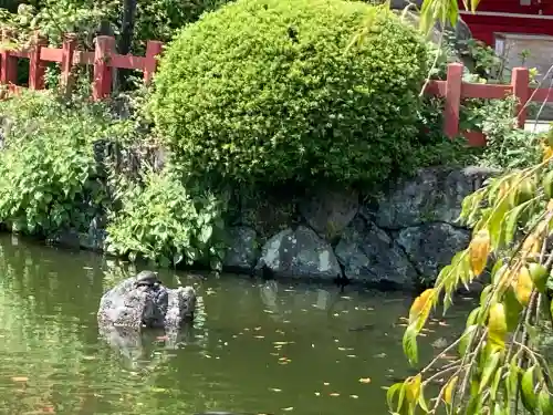 三嶋大社(静岡県)