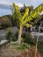 全忠寺(愛知県)