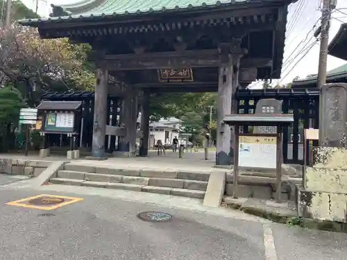 妙本寺(神奈川県)